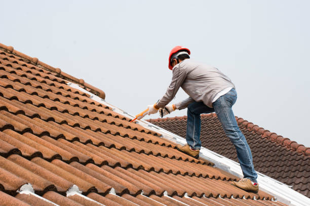 Best Metal Roofing Installation  in Remerton, GA