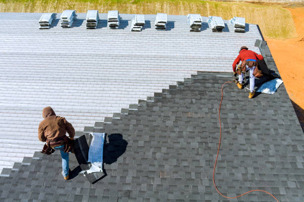 Best Sheet Metal Roofing  in Remerton, GA